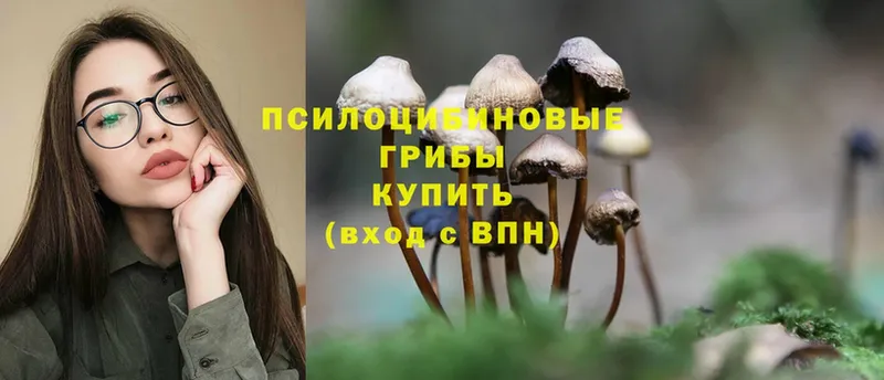 Галлюциногенные грибы Magic Shrooms  где купить наркотик  omg как зайти  Бирюч 